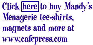 Buy Tee-Shirts